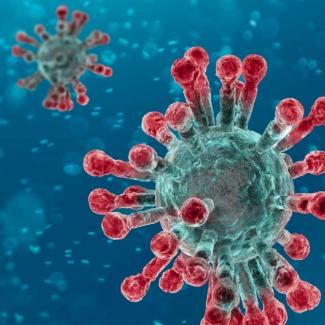 Coronavirus : Voici comment nous protéger!